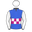Flash Prince silks