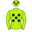 The Jester's Son silks