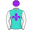 Kahraba silks